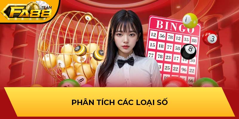 Phân tích các loại số